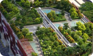 025 001 باغ بام ال گرین شرکت Elgreen | مشاوره تخصصی، طراحی و اجرای روف گاردن