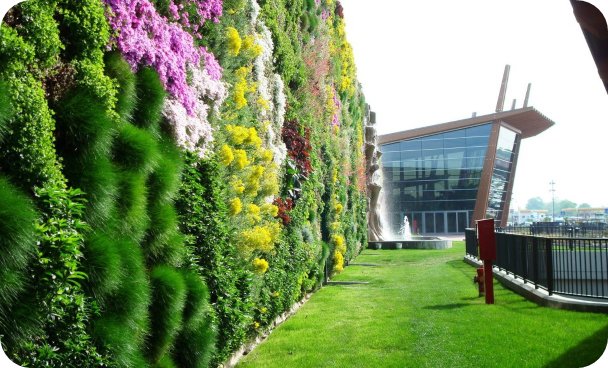 042 001 دیوار سبز ال گرین شرکت Elgreen | مشاوره تخصصی، طراحی و اجرای روف گاردن