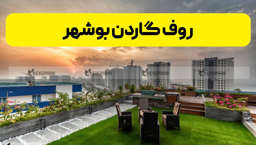 طراحی و اجرای روف گاردن در بوشهر